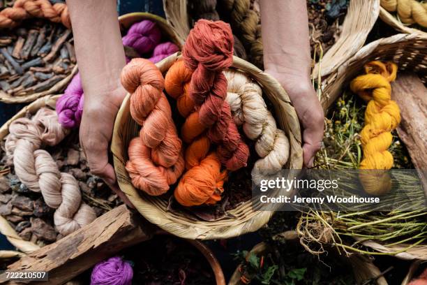 hands holding basket of naturally dyed cotton - färgmedel bildbanksfoton och bilder