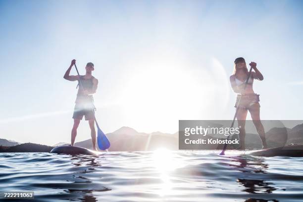 couple standing on paddleboards in river - paddle surf stock pictures, royalty-free photos & images