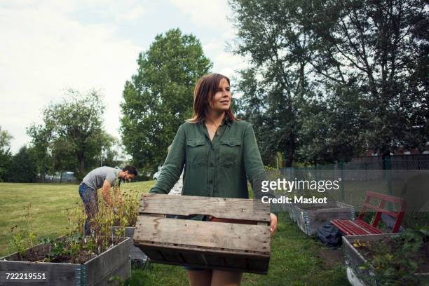 mid adult woman carrying crate while man planting in background at urban garden - side view vegetable garden stock pictures, royalty-free photos & images