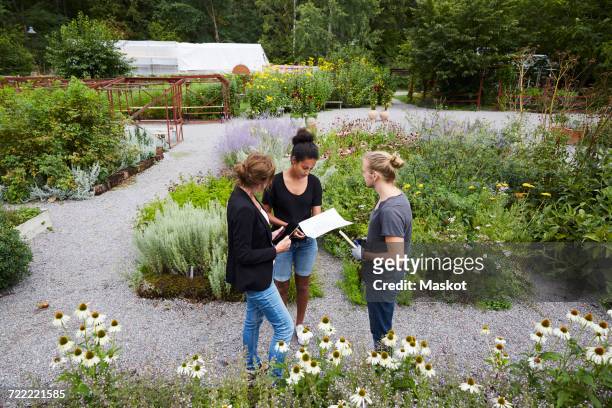 high angle view of architects communicating at community garden - side view vegetable garden stock pictures, royalty-free photos & images