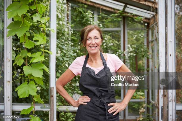 portrait of happy senior gardener standing with hands on hips at yard - tablier photos et images de collection
