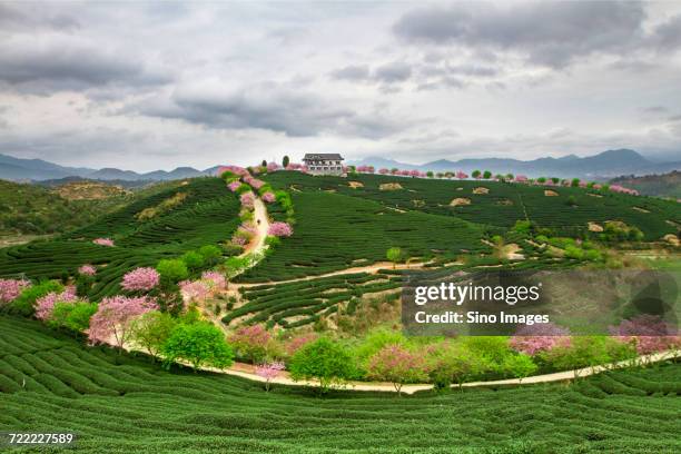 Longyan Cold Spring 7,699 Longyan Stock Photos, High-Res Pictures, and Images - Getty Images