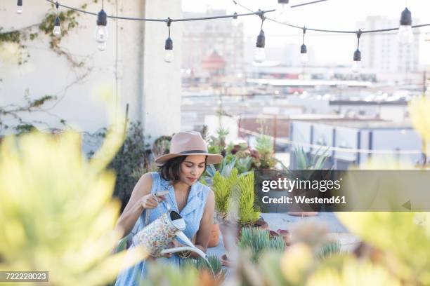 woman watering her rooftop garden - rooftop garden stock pictures, royalty-free photos & images