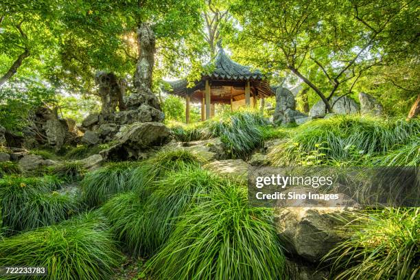 classical gardens of suzhou, china - suzhou - fotografias e filmes do acervo