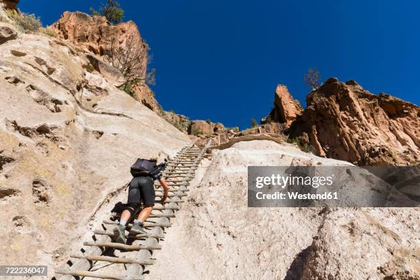 usa, new mexico, frijoles canyon, bandelier national monument, ruins and reconstructed kiva of the ancestral pueblo people, tourist on ladder towards alcove house - bandelier national monument stockfoto's en -beelden