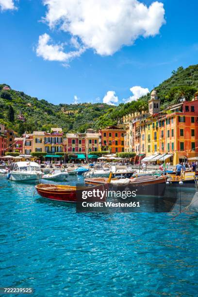 italy, liguria, portofino, moored boats - portofino stock pictures, royalty-free photos & images