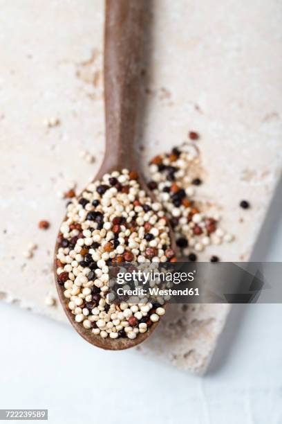 spoon of mixed quinoa - quinua fotografías e imágenes de stock