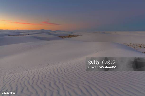 usa, new mexico, chihuahua desert, white sands national monument, landscape at sunrise - chihuahua desert - fotografias e filmes do acervo