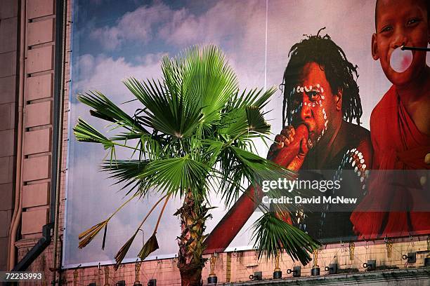 Palm tree stands near an advertising mural near Hollywood and Highland as many of the area?s palms fade into history because of a fatal fungus, old...