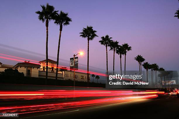 Canary Island palms tower above Melrose Avenue after the sun set on the popular 20th Century symbols of southern California which are fading into...