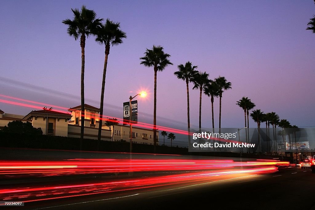 LAs Signature Palm Trees Are Disappearing