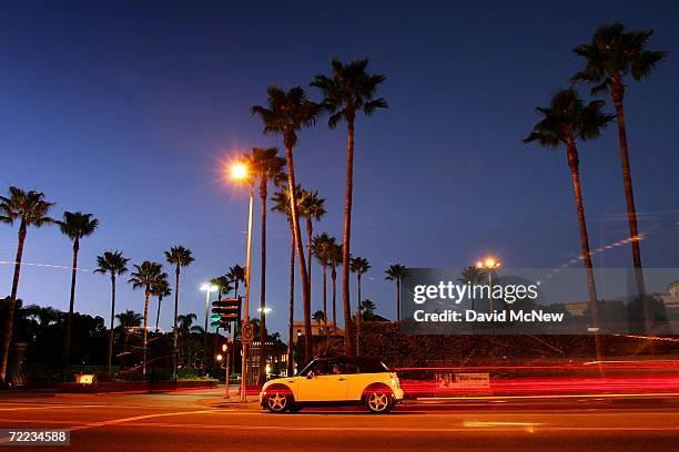 Canary Island palms tower above Melrose Avenue after the sun set on the popular 20th Century symbols of southern California which are fading into...