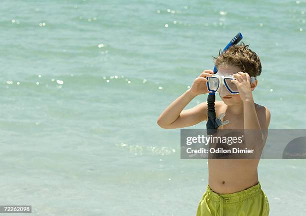 boy adjusting snorkeling gear on beach - bermuda snorkel stock pictures, royalty-free photos & images