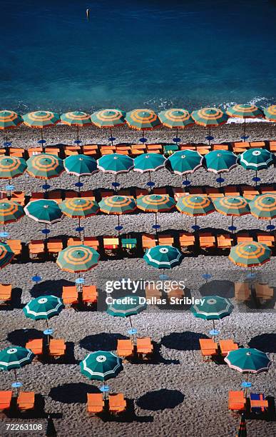 overhead of sea of umbrellas, deck chairs on spiaggia grande, positano, italy - アマルフィ海岸 ストックフォトと画像