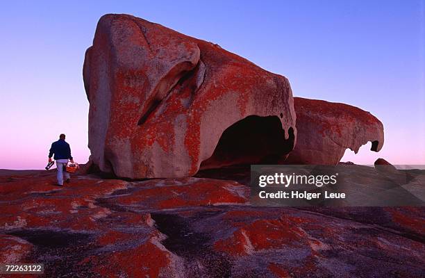 remarkable rocks at dawn, flinders chase national park, australia - australie méridionale photos et images de collection