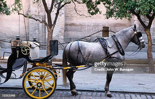 horse and carriage, sevilla, spain - carroça puxada por cavalo imagens e fotografias de stock