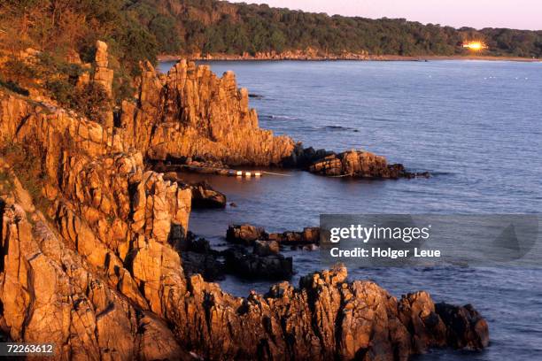 cliffs at sunrise, helligdomsklipperne, near badsted, badsted, denmark - bornholm island stock pictures, royalty-free photos & images