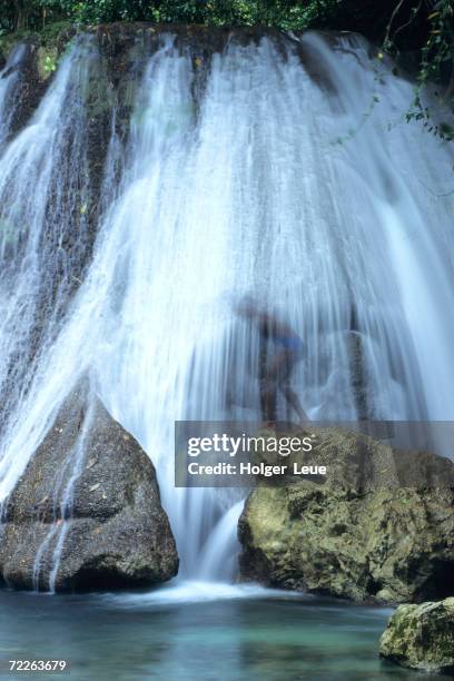 boy at reach falls near muirton, jamaica - jamaica kids stock pictures, royalty-free photos & images