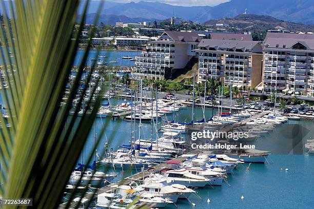 overhead of yachts at port moselle marina, noumea, new caledonia - new caledonia photos et images de collection