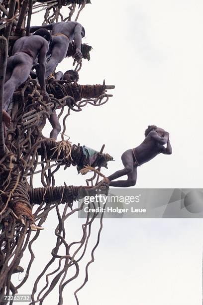 Naghol Ritual Vine Of Bravery Photos and Premium High Res Pictures - Getty Images
