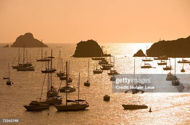 yachts at sunset, gustavia, st barts - gustavia harbour stock pictures, royalty-free photos & images