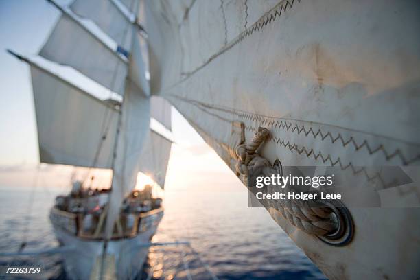 detail of star clipper sails, netherlands antilles - tall ship stock pictures, royalty-free photos & images