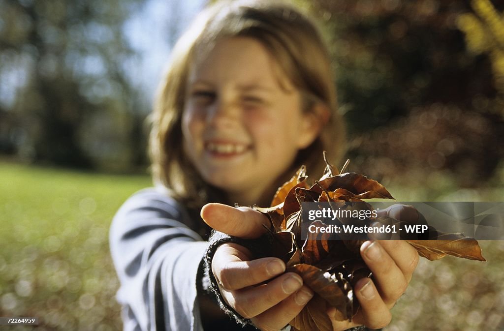 Girl (8-11) holding leaves (focus on leaves)