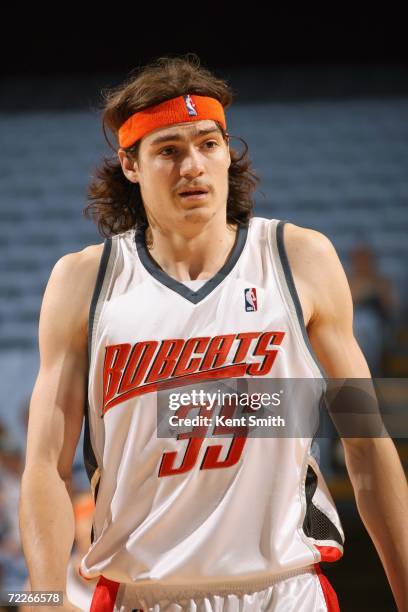 Adam Morrison of the Charlotte Bobcats stands on the court during the preseason game against of the Washington Wizards on October 17, 2006 at the...