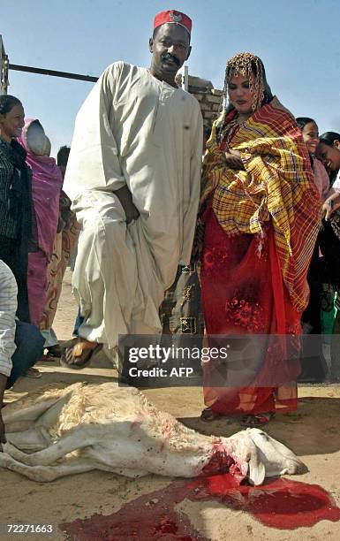 Sudanese couple pose next a slaughtered sheep during a traditional wedding ceremony 26 October 2006 in Ghatina, a town located 70kms south of...