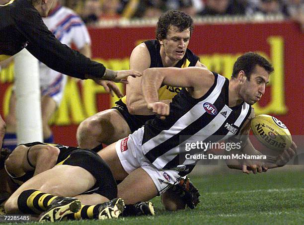 Anthony Rocca Friends 5,953 Richmond Collingwood Photos & High Res Pictures - Getty Images