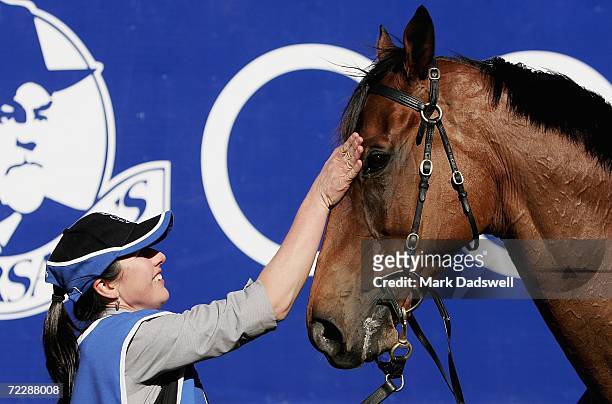 Fields Of Omagh gets a pat on the nose from his strapper after winning the Tattersall's W. S. Cox Plate during the Cox Plate meeting at Moonee Valley...