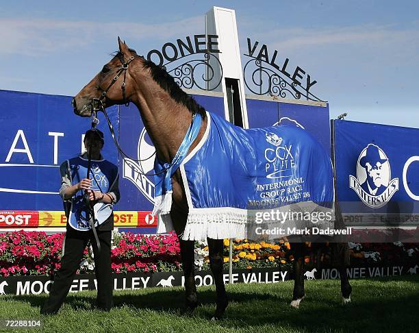 Fields Of Omagh is held by his strapper after winning the Tattersall's W. S. Cox Plate during the Cox Plate meeting at Moonee Valley Racing Club on...