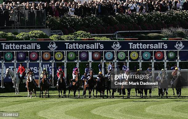 The field jumps out of the gates at the start of the Tattersall's W. S. Cox Plate during the Cox Plate meeting at Moonee Valley Racing Club on...