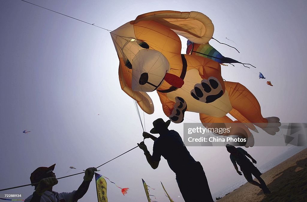 Dameisha International Kite Festival Held In Shenzhen