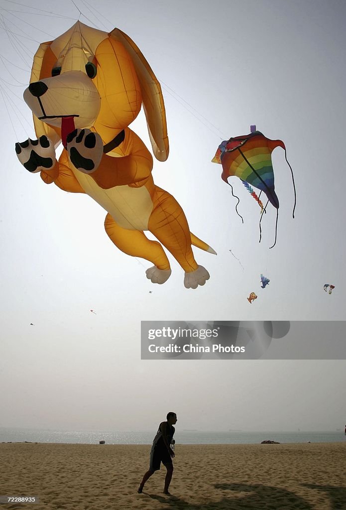 Dameisha International Kite Festival Held In Shenzhen