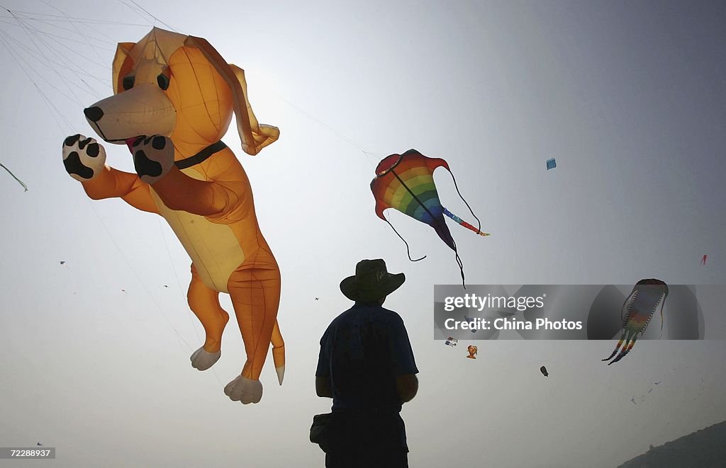 Dameisha International Kite Festival Held In Shenzhen