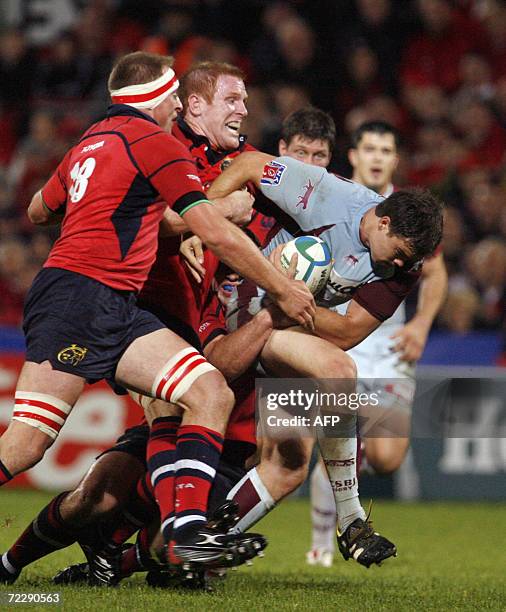 364 Paul Rennie Stock Photos, HighRes Pictures, and Images Getty Images