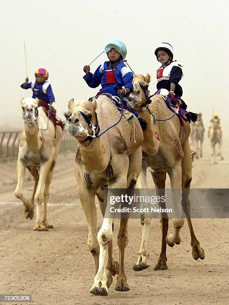Cama Racing Club 102 Kuwait Camel Racing Club Stock Photos, High-Res Pictures, and ...