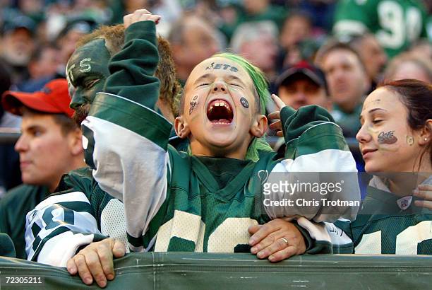 New York Jets fans enjoy themseleves as they play the Houston Texans on December 5, 2004 at Giants Stadium in East Rutherford, New Jersey. The Jets...