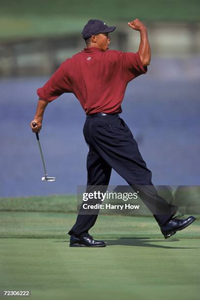 Tiger Woods celebrates after putting the ball during the Players Championship TPC at Sawgrass in Point Vedra Beach, Florida.