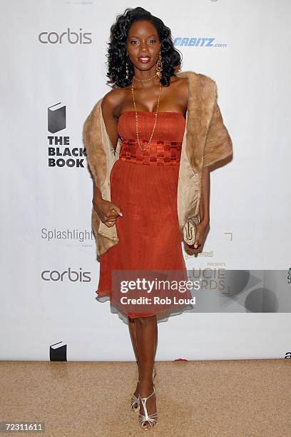 Model Tomiko Fraser arrives for photography's 4th Annual Lucie Awards at the American Airlines Theatre October 30, 2006 in New York City.