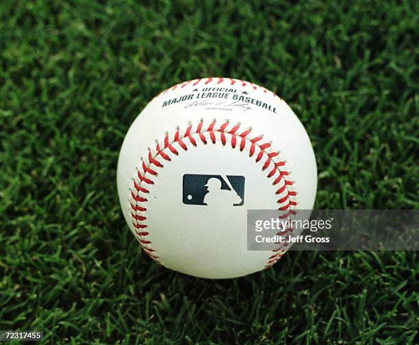 Close-up picture shows one of the new Major League Baseball official game balls lying on the grass during the Detroits Tigers game against the...