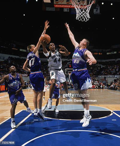 Guard Anthony Peeler Photos and Premium High Res Pictures Getty Images