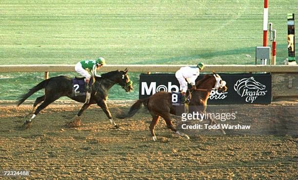 Taiki Blizzard, ridden by Yukio Okabe, and Editor's Note, ridden by Gary Stevens, in action in the Breeders' Cup Classic race at Woodbine Racetrack...