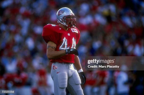 Free safety Brian Urlacher of the University of New Mexico Lobos in action during the game against the Idaho State Bengals at the University Stadium...