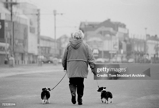 Dog, Man's Best Friend - He is your friend, your partner, your defender, your dog. You are his life, his love, his leader. He will be yours, faithful...