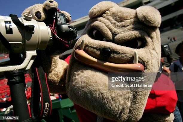Life-sized Uga, the mascot of the University of Georgia Bulldogs, snaps a picture during the game against the Vanderbilt University Commodores at...