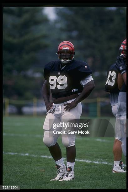 Defensive lineman Dan Wilkinson of the Cincinnati Bengals looks on during training camp.