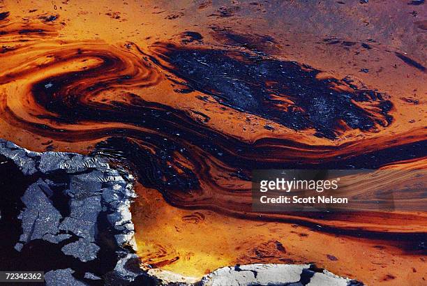 Oil pools in a lake of oil at the Burgan oil field January 13, 2003 in Central Kuwait. The oil field, the largest in the world, was targeted by...