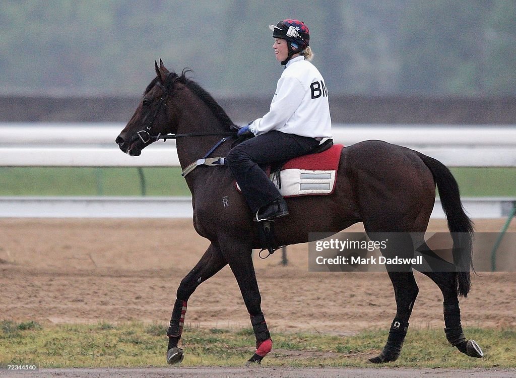 Trackwork At Flemington Racecourse